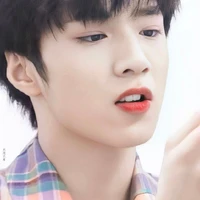 Lưu Diệu Văn