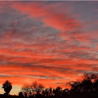 Tác giả cute phô mai que đây ^^