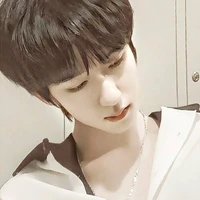 Hạ Tuấn Lâm