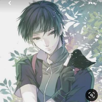 Yamanaka Sai