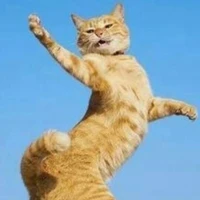 tác giả simp 🍊