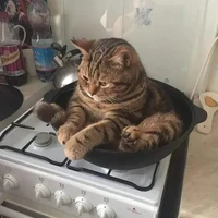 tác giả chán đời
