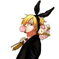 Vinsmoke Sanji