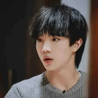 Tô Tân Hạo