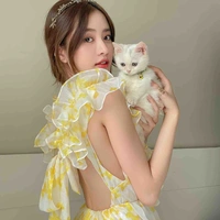 Ngô Thùy Trâm