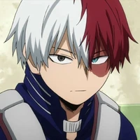 Todoroki Shotoū