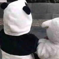 t/gcutephomaiques1tg