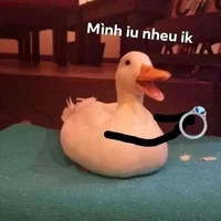 hông biếc t tên gì nữaaa🤡