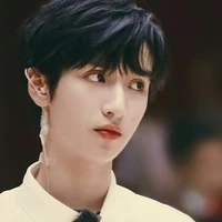 Nghiêm Hạo Tường