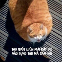 Au thiểu năng:)