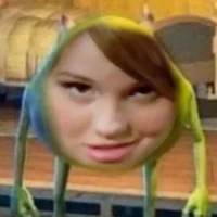 y/n