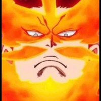 Todoroki Enji