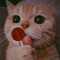 Tác Giả :3