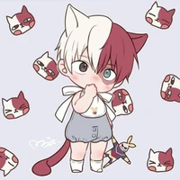 Todoroki Shoto