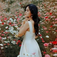 Vỹ Dạ