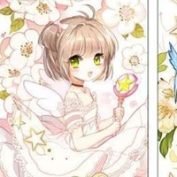 Kinomoto Sakura