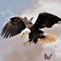 Yoongi🦅
