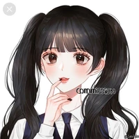 Nguyễn Ngân Hà/Sanae Ackerman