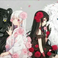 hắc Bạch (luna) tác giả