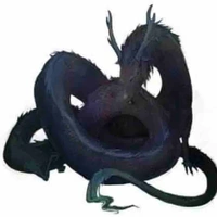 Shinshina
