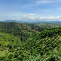 bộ ba làng cát