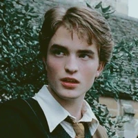 Cedric Diggory