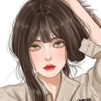 Y/N