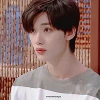 Đinh Trình Hâm