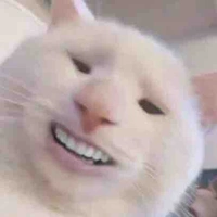 Ai am my