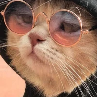 Mikey dạng mèo