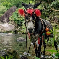 Quả Táo Nhỏ