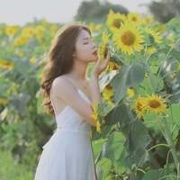 Dương Ngọc Như Ý