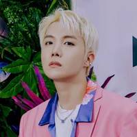 Jung Hoseok ( Jhope )