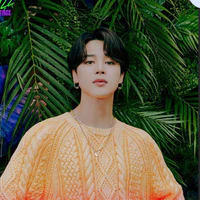 Park Jimin ( Jimin )