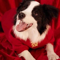 Tác giả yếu đuối 🇻🇳❤️🇨🇳✅