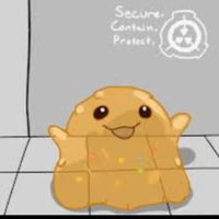 scp 999