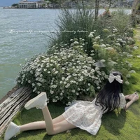 Lãnh Kim Ly