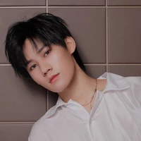 Trương Chân Nguyên (anh của các anh)