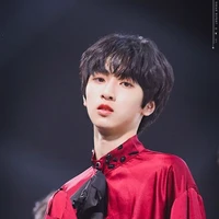 Nghiêm Hạo Tường (anh của các anh)