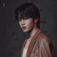 Lưu Diệu Văn