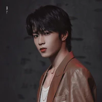 Lưu Diệu Văn