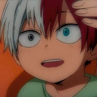 Shoto Todoroki