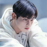 Cha Eunwoo