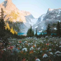 Du Bội Sam (nguyên chủ)