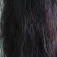 các loại nv
