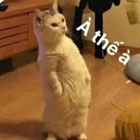 Nhóm con lươn :))