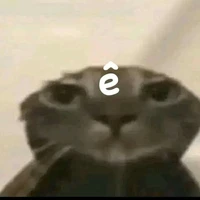 T/G
