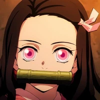 nezuko(14)