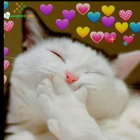 Tiên Cute
