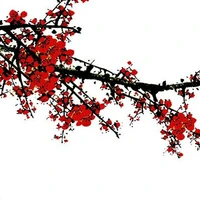 Nhân Vật Phụ Tổng Hợp